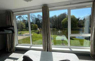 Everglades - Foto 14