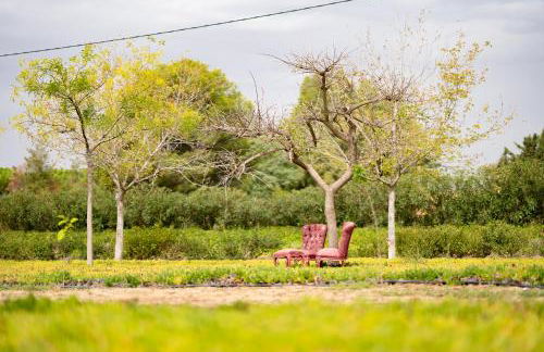 Mas Montbrio Belvedere - Foto 63