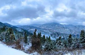 Pavliani House - Foto 53