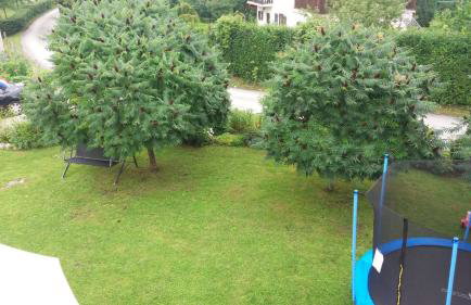 Apartment King - Foto 12