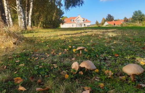 Rezydencja Pod Platanem - Photo 6