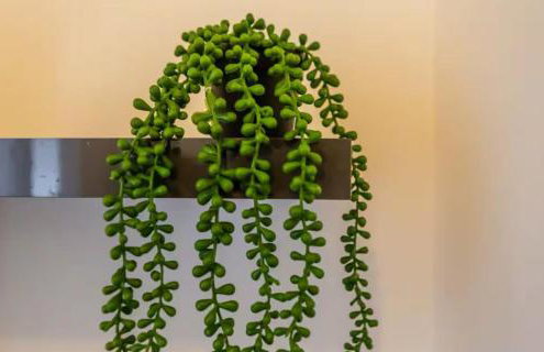 The Woodlands 3bed 2bath 4 mile Durham City - Photo 35