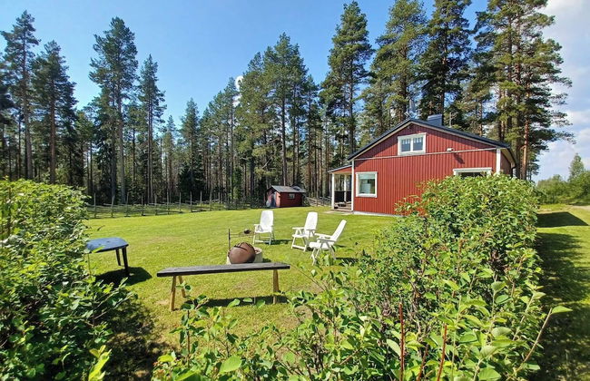 Lapland Pure Nature and More! - Foto 25