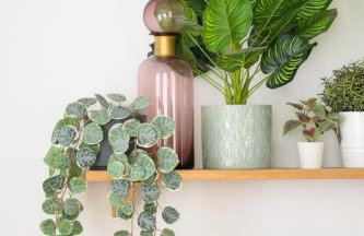 Offre spéciale ! Jolie pépite - Le Verdoyant - Foto 17