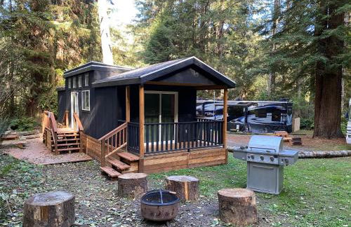 The Black Bear Cabin - Foto 1