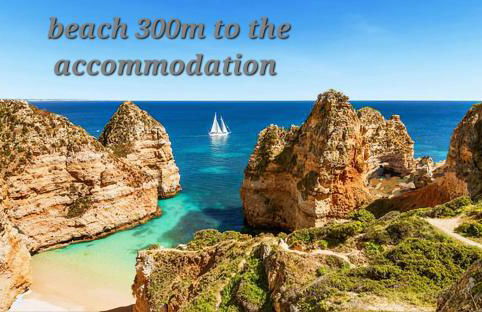 Oceanfront Villa - 8 rooms, 2 kitchens with pool, billiard table and Beach-Volleyball Court - Foto 19