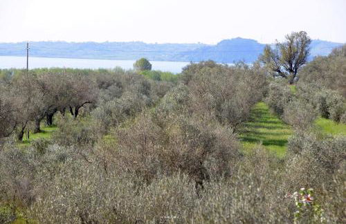 Il Casale degli Ulivi - Foto 57