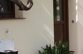 Landhaus Messerschmitt - Foto 36