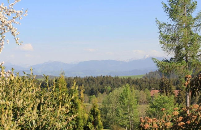 Spacious Villa near Forest in Buchet - Photo 38