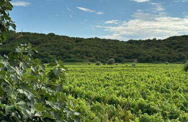 Apartment Vidoni - Photo 45