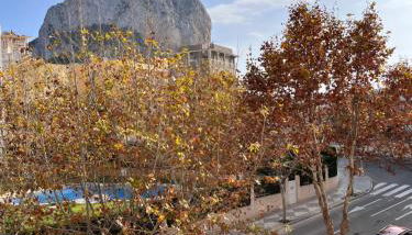 Apartamento cerca del mar y del Peñón de Ifach - Photo 3