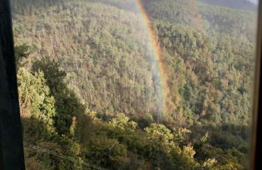 IL NIDO VERDE - Photo 5