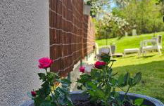 Appartement lumineux et calme en rez-de-jardin - Foto 3