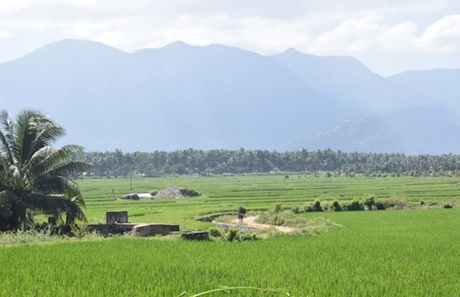 Room in Lodge - Royal Cottage, Anaimalai Room 2 - Foto 10