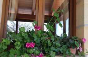 Endaneta Berri - Photo 27