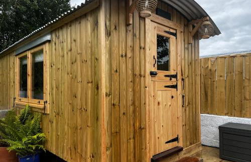 Little Dolwen - Sioned - Photo 4