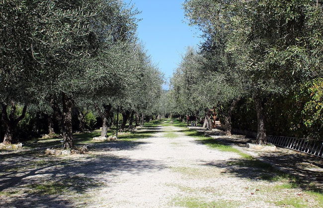 Agriturismo Fara Del Falco - Foto 18