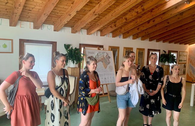 Premium Private Prosecco Hills Tour - 2 Cantine. Tour privato. - Foto 44