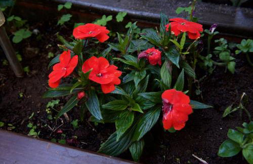 Casa Rural de Tío Félix - Foto 44