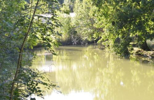 Holiday Home in Loubigne With Pool & Terrace - Foto 59