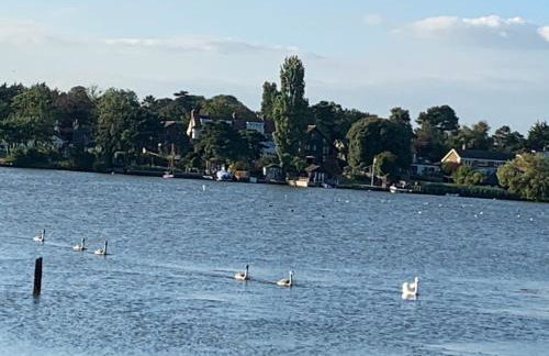 Serenity 2 and Serenity 1 Central lounge sleeps 6 3 bedrooms with 2 bathroom - Foto 32