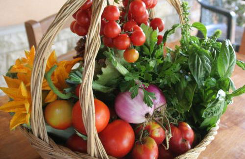 Agriturismo Diciocco - Foto 2