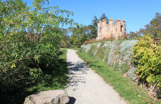 S'harzala Rouge - Foto 24