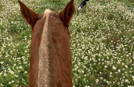 El Refugio de Felix - Photo 66