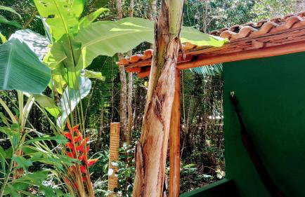 CHaLéS GuiGó, Refugio em meio a natureza - Photo 62