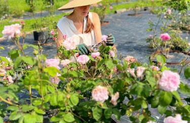 Casetta dipinta Fattoria dei fiori - Photo 73