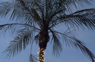 Emiliadourohouse - Foto 56