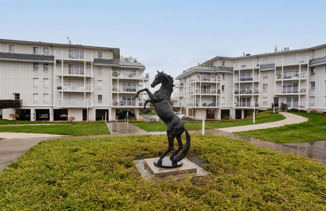 Les Cavaliers - Foto 5