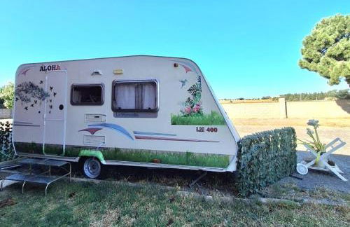 Alojamiento Oliveres Petita - Foto 1