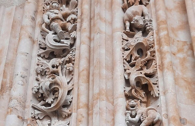 Tour privato speciale per famiglie con bambini a Salamanca - Foto 5