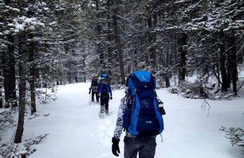Pet-Friendly Yurt for an Off-the-Grid Getaway near Hyrum, Utah - Foto 13