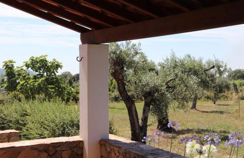 Casa da Pedra-Quinta do Briando - Foto 6