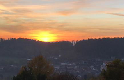 FERIENWOHNUNG FORSTPANORAMA - Foto 1