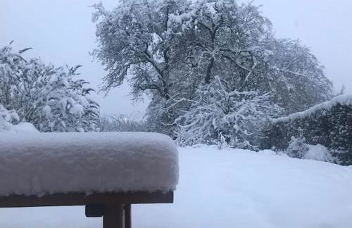 Belka am Rursee - Foto 27