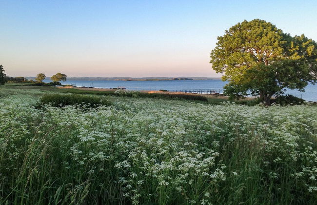 "Bibi" - 200m from the sea - Photo 16