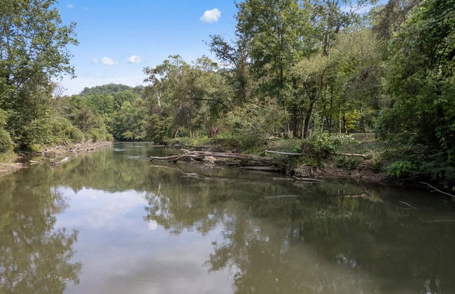 Royal Fern in Pisgah Forest - Foto 15