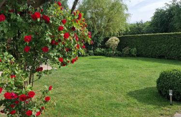 Nina Kopalino - Foto 12