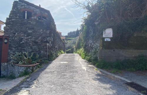 Cà Teodoi (citra 010025-LT-4173) - Photo 20