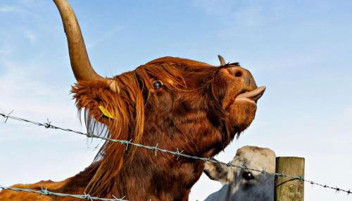 2 Bed in Sowerby Bridge oc-90887 - Foto 3, Other