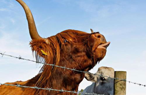 2 Bed in Sowerby Bridge oc-90887 - Foto 3