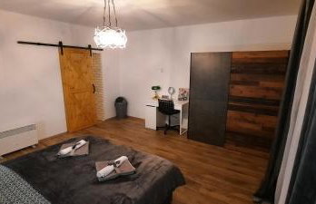 Apartman Twins Self Check in & Self Check Out - Foto 5