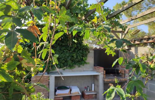 Romegosa Benestar - Foto 48