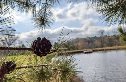 The Prancing Pony Guest House at Edendell - Foto 33