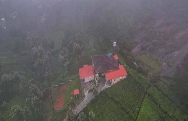 Blue Nile Suits By Indostay - Foto 14