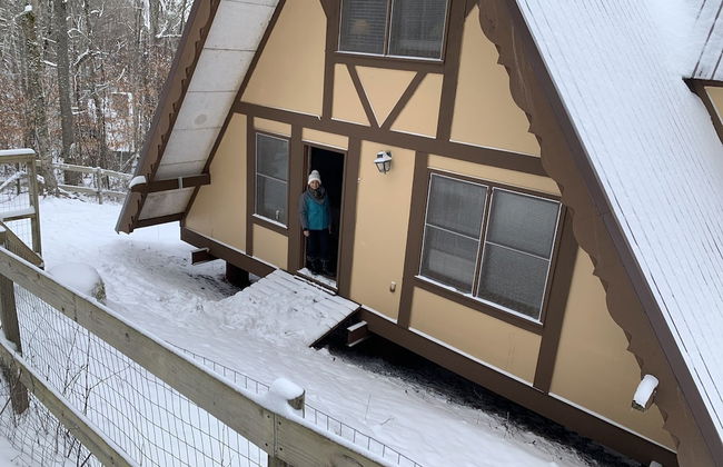 Unforgettable Dreams - Foto 19