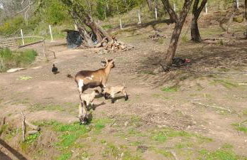 Quinta da Bolota Guest House - Foto 8